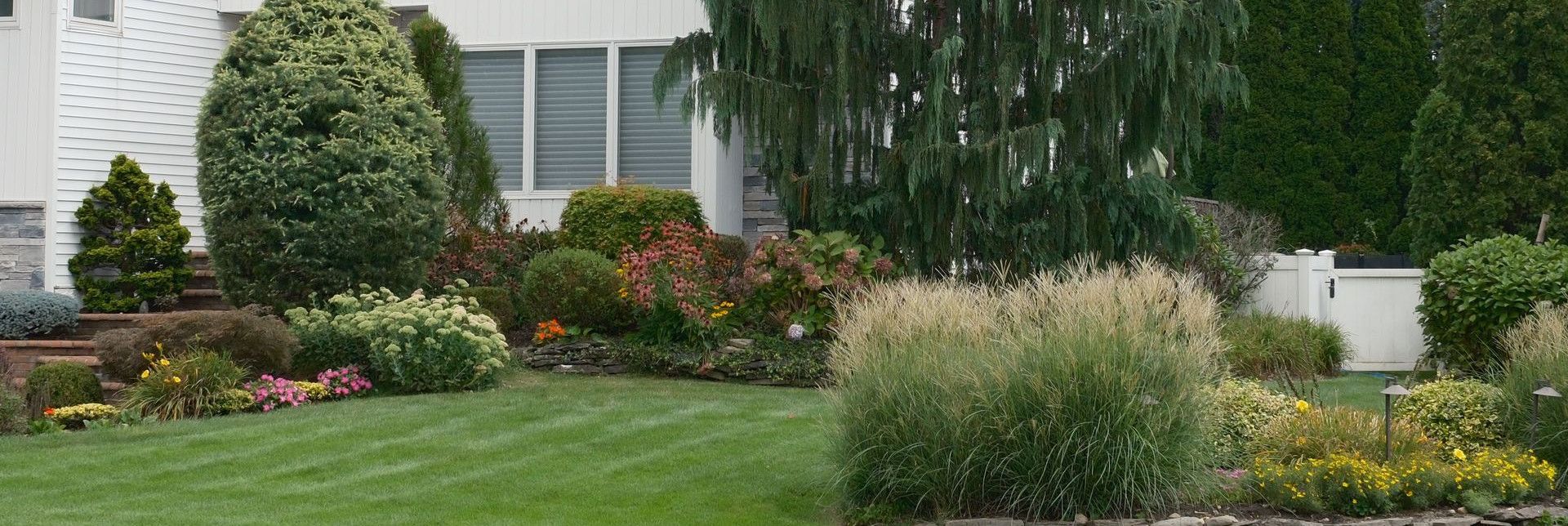 Beautiful suburban home with manicured garden and diverse greenery, capturing modern residential architecture.
