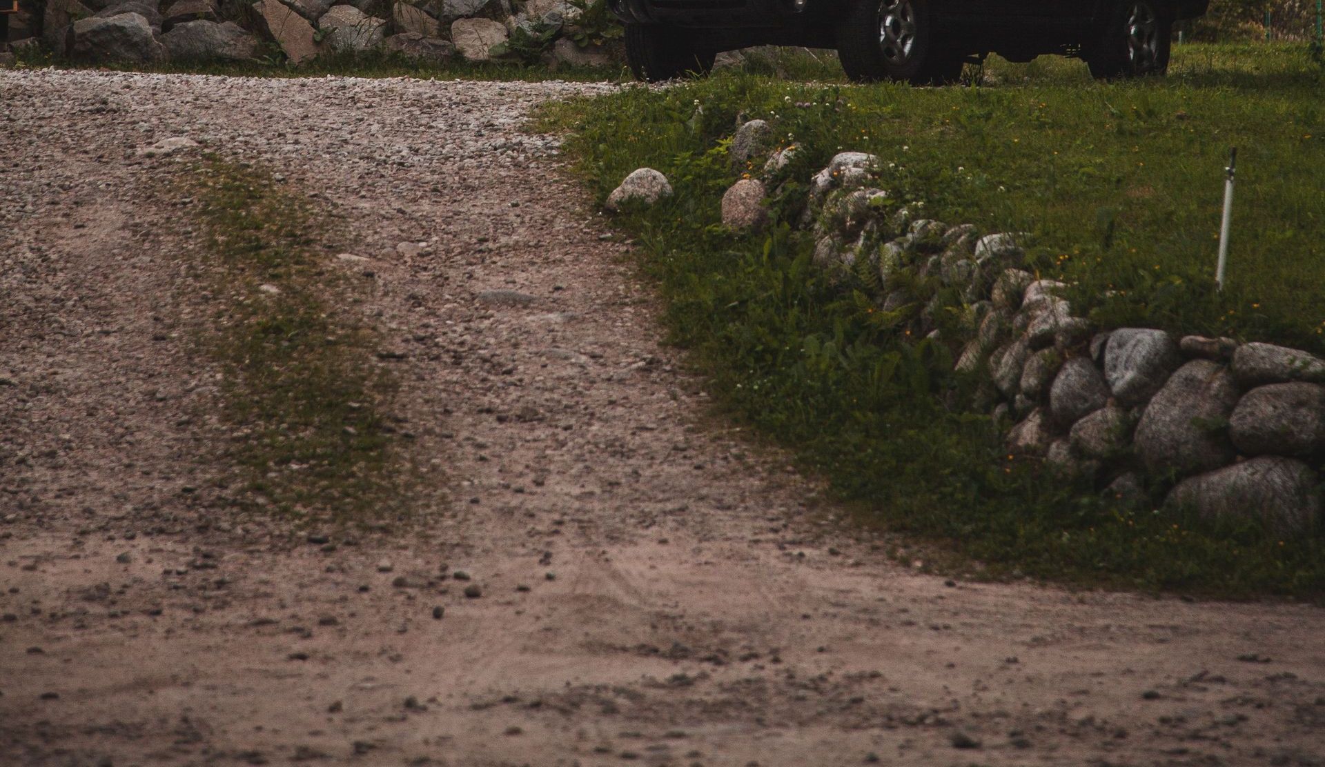 Path with parked car near green grass and trees next to house under sky in daylight