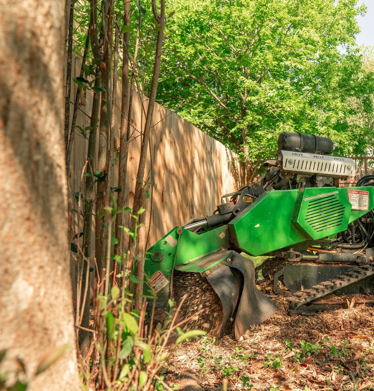 A worker operates a tree stump grinder